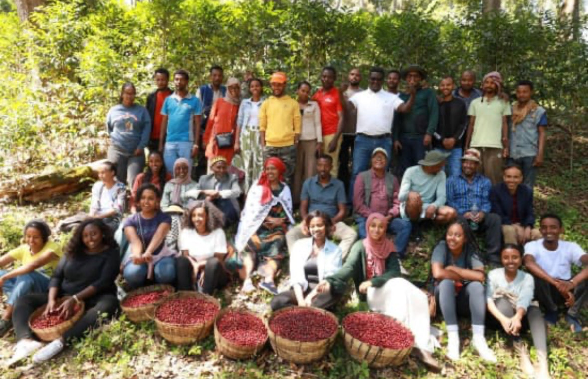 Ethiopia Kayon Mountain Farm