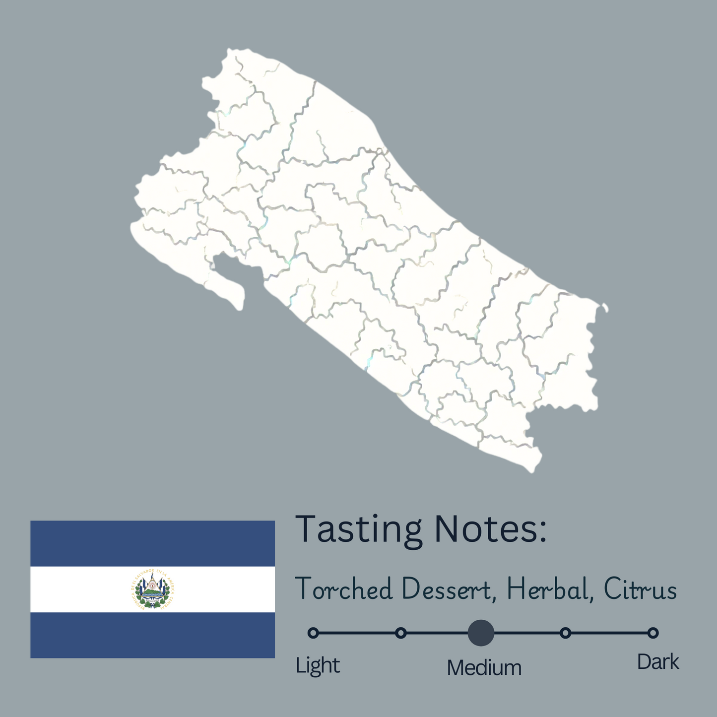 El Salvador Miravalles Pacamara (Medium)