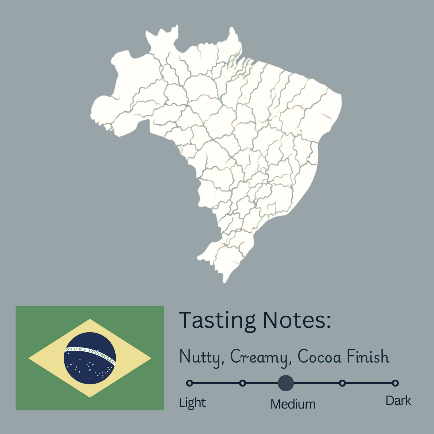 Brazil Fazenda IP SWP Decaf - Medium