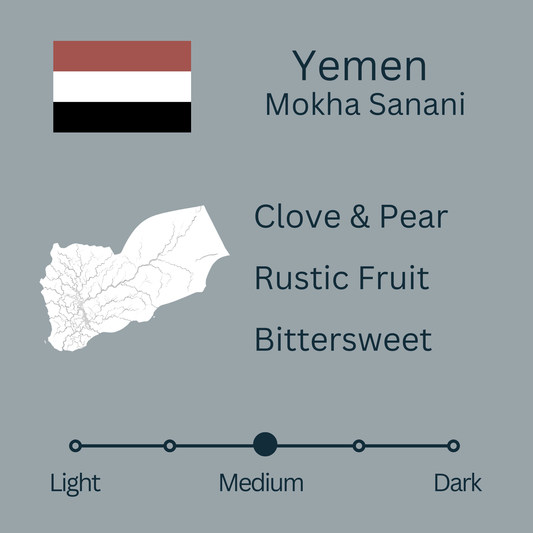 Yemen Mokha Sanani (Medium)
