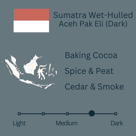 Sumatra Wet-Hulled Aceh Pak Eki (Dark)