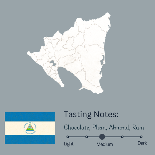 Nicaragua Villa Sarchi