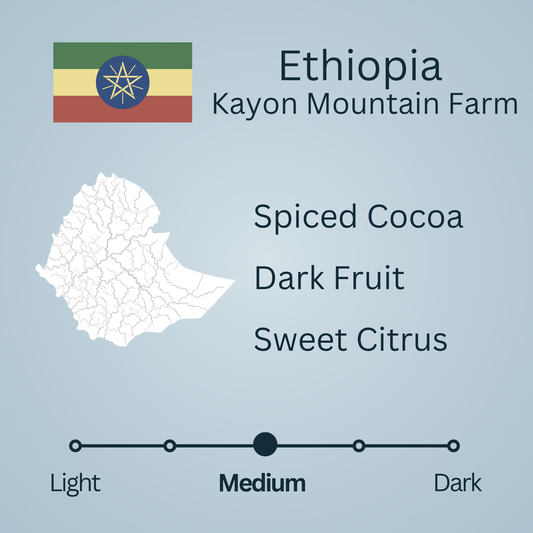 Ethiopia Kayon Mountain Farm