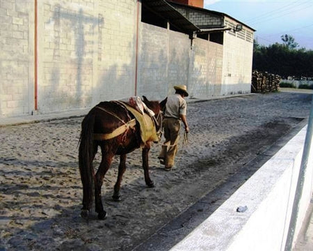 Guatemala Antigua Los Volcanes