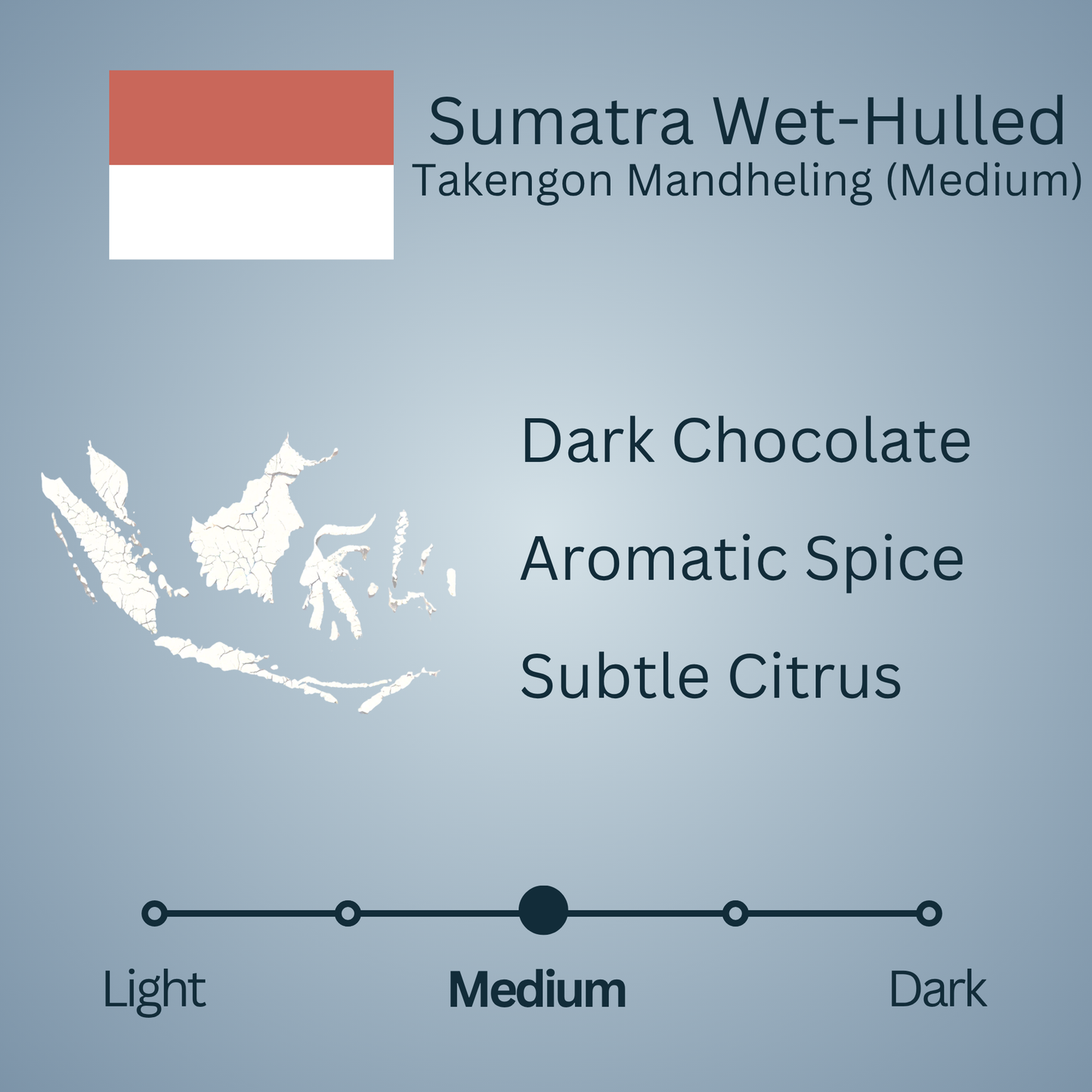 Sumatra Wet-Hulled Takengon Mandheling (Medium)