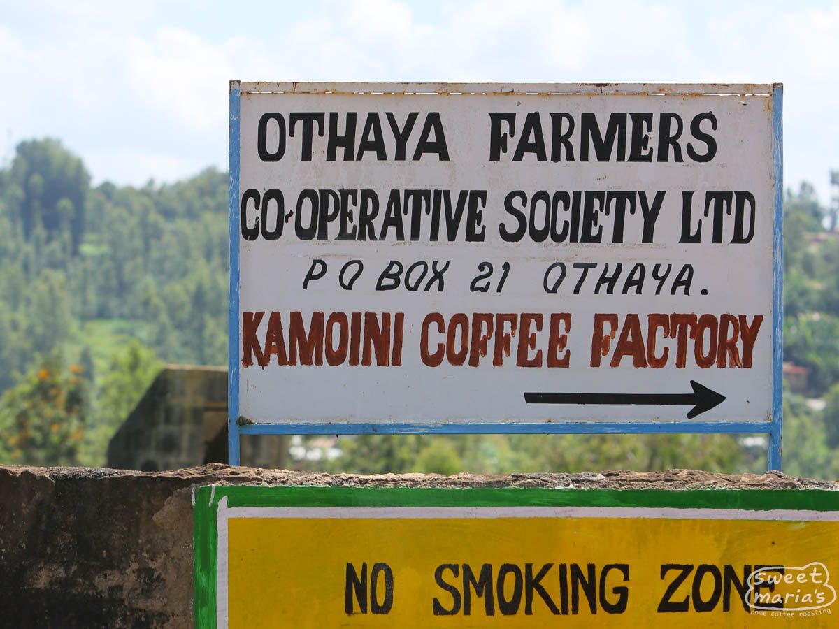Kenya Nyeri Kamoini (Medium)