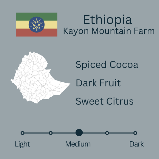 Ethiopia Kayon Mountain Farm