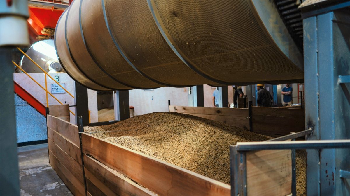 Costa Rica Tarrazú Santa Maria (Medium)