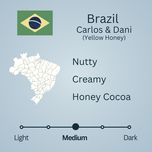 Brazil Carlos & Dani Yellow Honey (Medium)