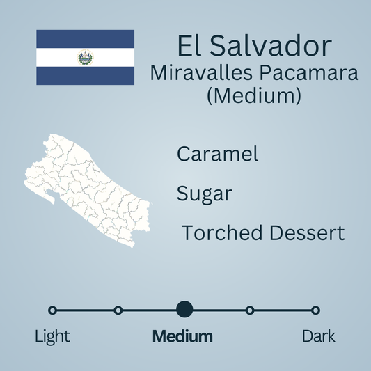 El Salvador Miravalles Pacamara (Medium)