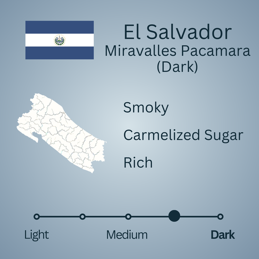 El Salvador Miravalles Pacamara (Dark)