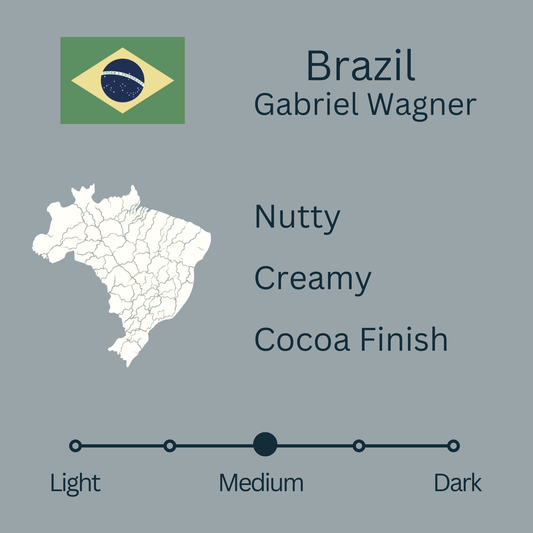 Brazil Natural Gabriel Wagner