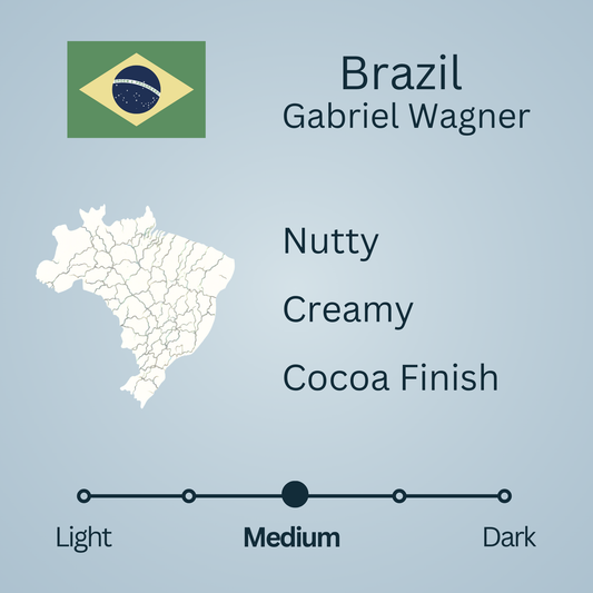 Brazil Natural Gabriel Wagner