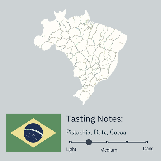 Brazil Fazenda Sertao (Light/Medium)