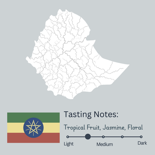 Ethiopia Guji Goro Bedessa (Light/Medium)