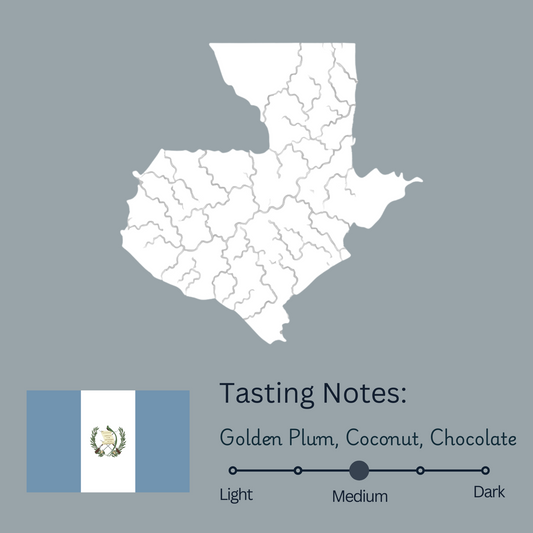 Guatemala Xinabajul Ana Morales (Medium)