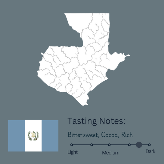 Guatemala Xinabajul Libertad SWP Decaf (Dark)