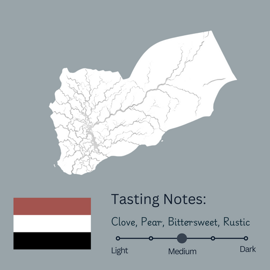Yemen Mokha Sanani (Medium)