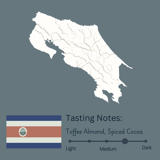 Costa Rica Zarcero Monte Brisas Danto (Dark)